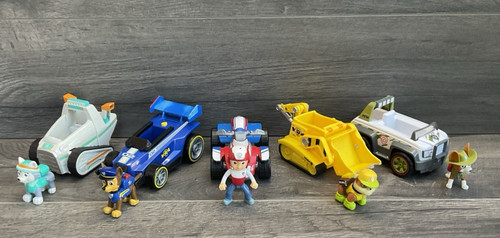 Five small vehicle paw patrol - vehicle,