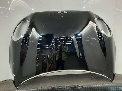 2014 mini door - 2014, 5