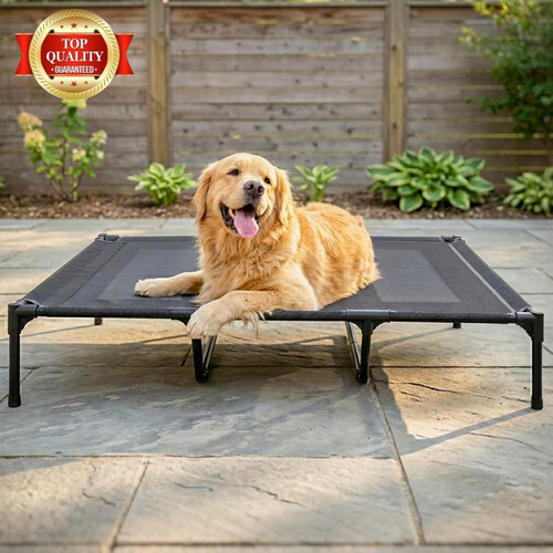 Elevated dog bed for - elevated,