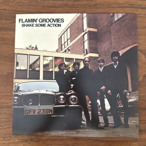 Flamin groovies shake some - flamin',