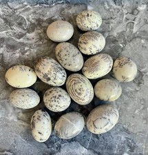 Tumbled Stones Natural Crystal