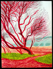 David Hockney Lithograph COA