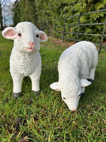 Resin sheep ornaments - resin, ewe