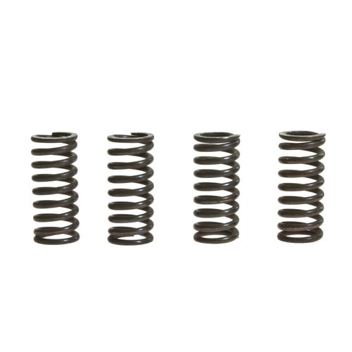 Trw clutch spring - spring, kit