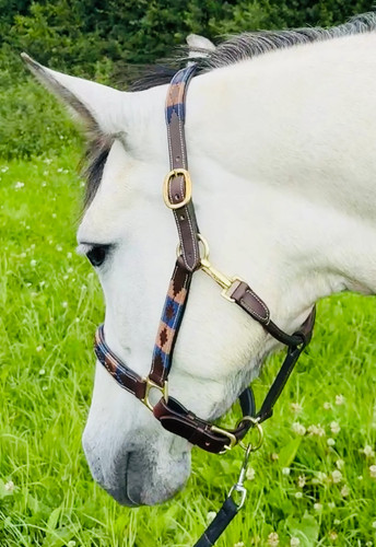 Leather padded polo headcollar - padded,