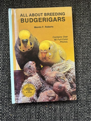 All about breeding budgerigars - all,