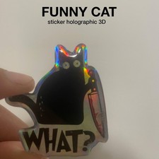 Funny Cat “What?”