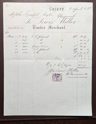 1883 lewis miller timber - 1883,