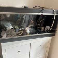 Lizard Terrarium Ideal for Bearded Dragon Comes with Full Kit Reptile Habitat