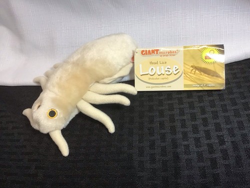 Giant microbes louse - giant, microbes-louse-stuffed