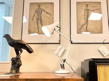 Anglepoise model white - anglepoise, 90,