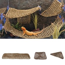 Reptile corner hammock snake - reptile,