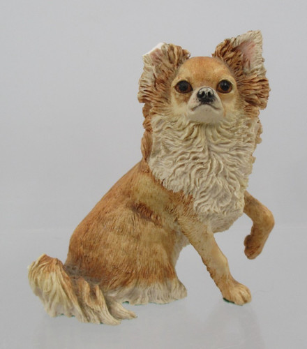 Dogs galore dg27 long - dg27, haired