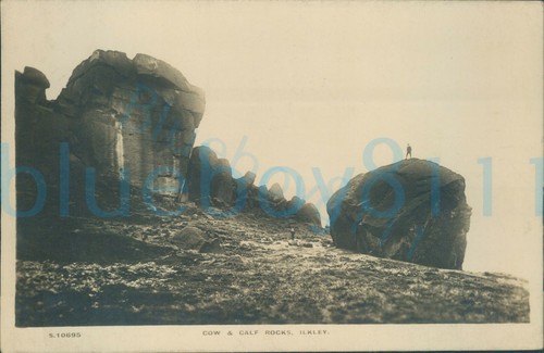 Ilkley cow calf rocks real - ilkley,