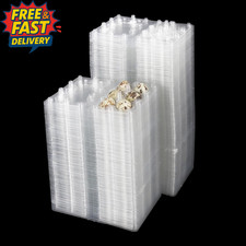 100 Pcs Quail Egg Boxes - 11 X