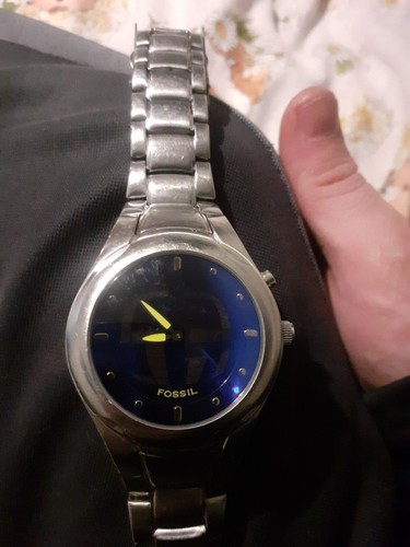 Rare fossil big tic - fossil,