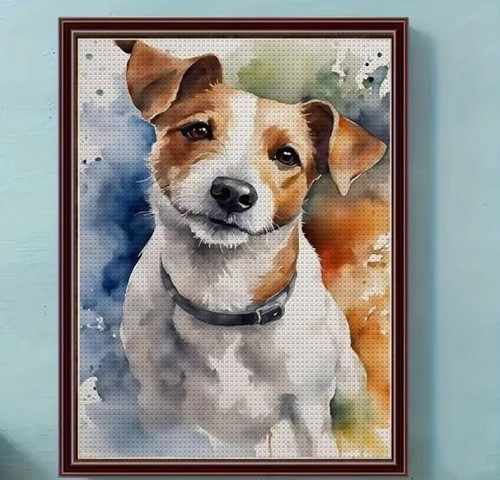 Jack russell dog - jack,