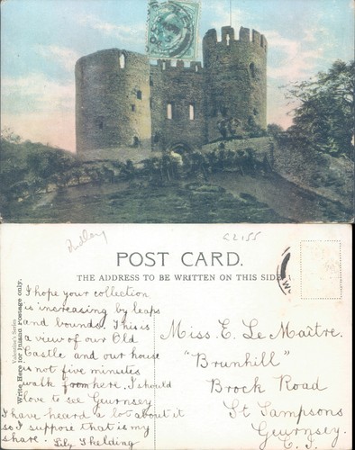 Old castle view dudley - old,