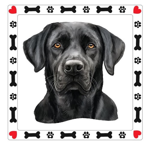 Black lab labrador retriever - lab,