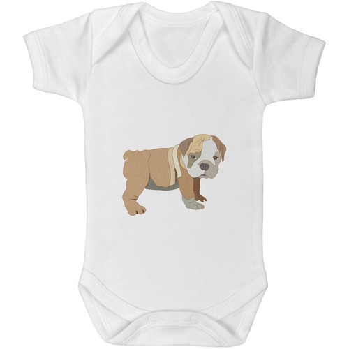 English bulldog puppy baby - puppy',