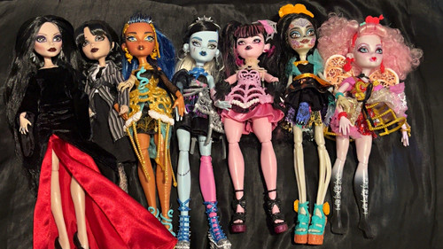Monster high doll bundle - high,
