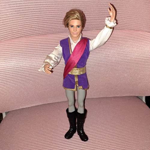 Barbie the pink shoes ken - barbie,