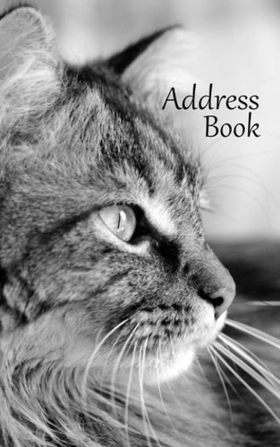 Address book maine coon - maine, cat