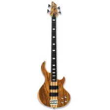 Fretless 4 String Electric