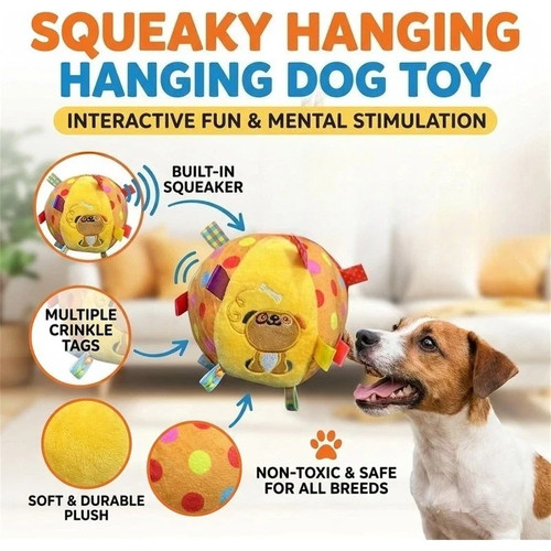 Colorful squeaky hanging - colorful,