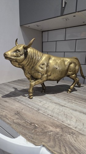 Brass bull wall - bull, 11.7kg