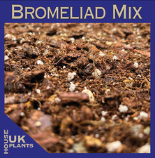 Bromeliad soil mix pest free - soil, (pest-free