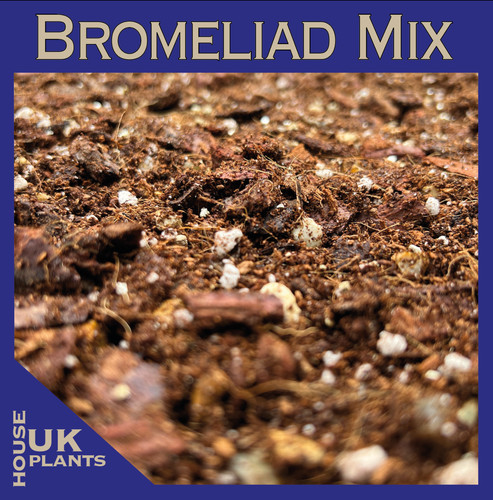 Bromeliad soil mix - bromeliad,