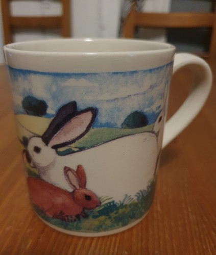 Matthew rice country - country, rabbit