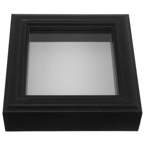 Insect display case box - display,