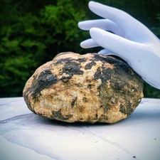 Large Kentucky Geode 3–5