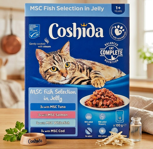Coshida adult wet cat - adult, food