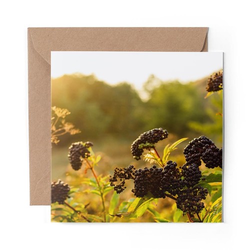 Blank greeting card - 1,