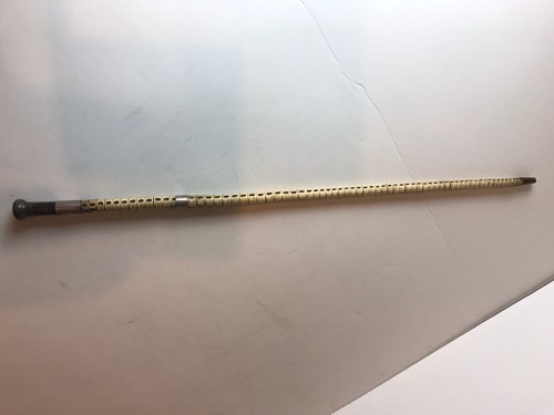 Rare antique shark - 19, c