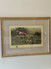 SHELTIES DAVID SHEPHERD SIGNED LIMITED EDITION 625/1200 FRAMED 