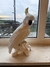 MAGNIFICENT WHITE COCKATOO -