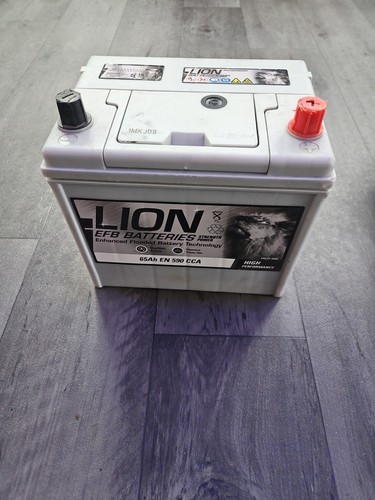 Lion efb stop start - lion, stop/start