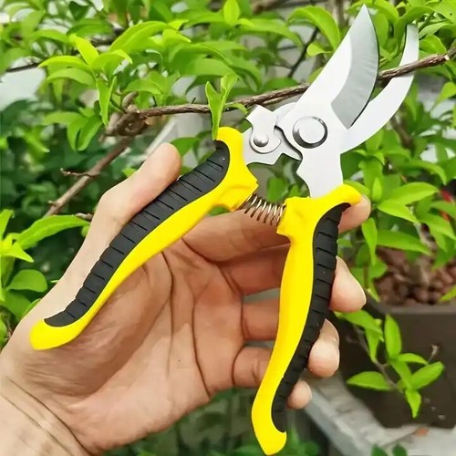 Gardening secateurs garden - gardening,