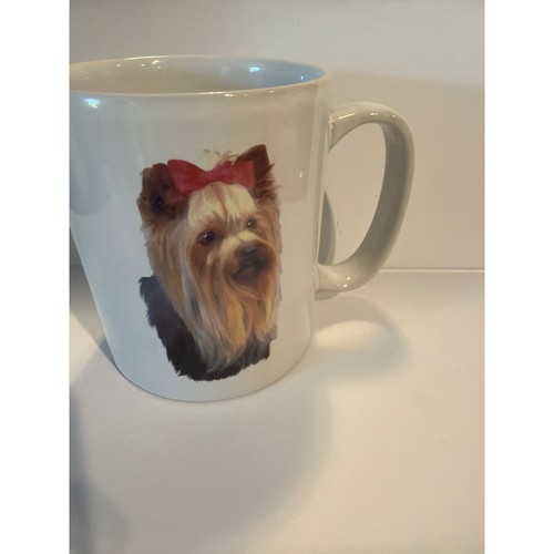 Yorkshire terrier yorkie - yorkie, dog