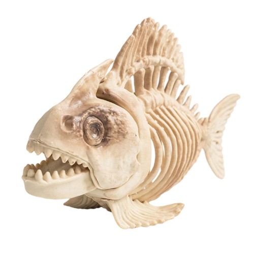 Realistic fish skeleton skull - realistic,