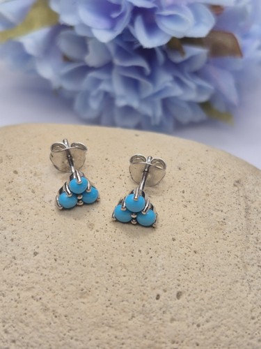 Earrings sterling silver - -,