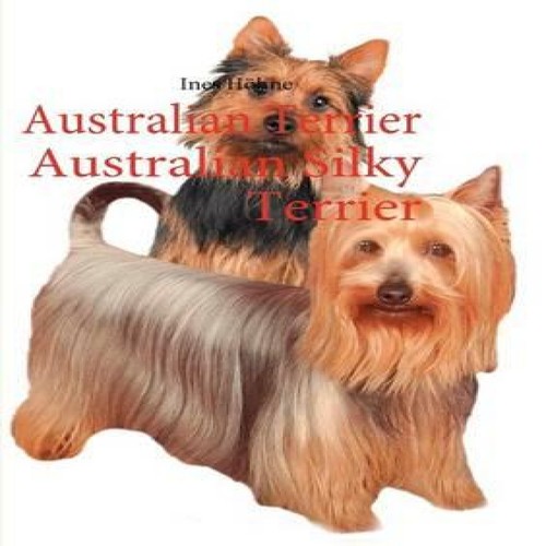 Australian terrier - australian,