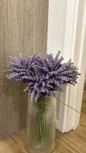 Dried lavender stems - lavender, (50+)