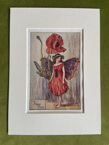Poppy flower fairy - ‘poppy’,