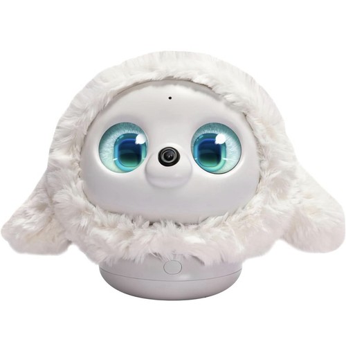 Pet robot long term memory - long-term,