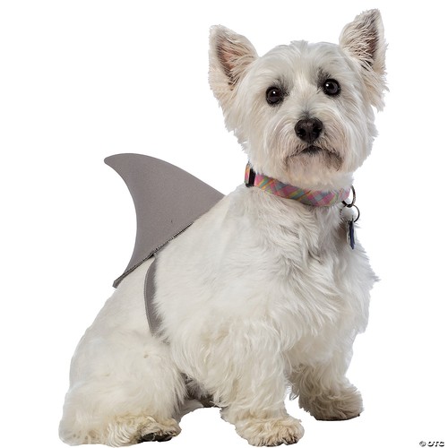 Rasta imposta shark - rasta, fin